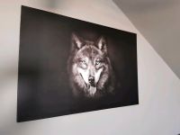 Wolf Leinwand Brandenburg - Tauche Vorschau