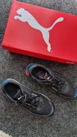 BMW MmsTrackRacer Puma Schuhe gr.40.5 Hessen - Maintal Vorschau