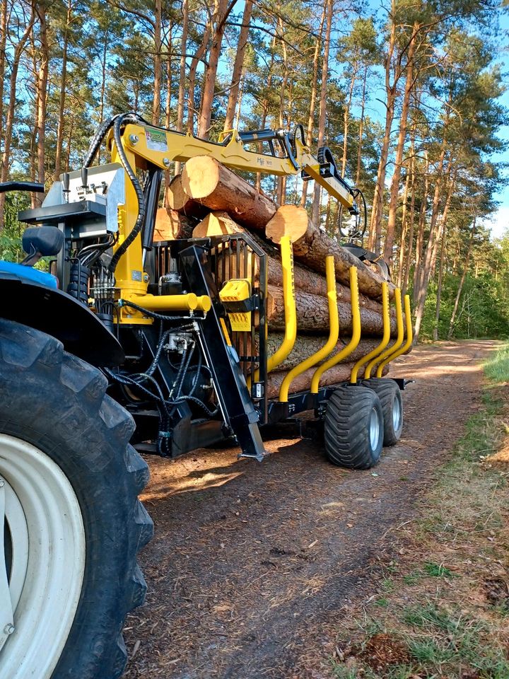 14,5tGG  Rückewagen Holzrückewagen Holzkran in Salzwedel