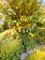 Garten Lampions mit 10 Glühbirnen, Jysk Wandsbek - Hamburg Sasel Vorschau
