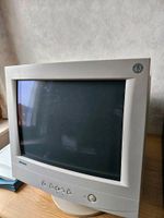 Monitor alt retro Niedersachsen - Braunschweig Vorschau