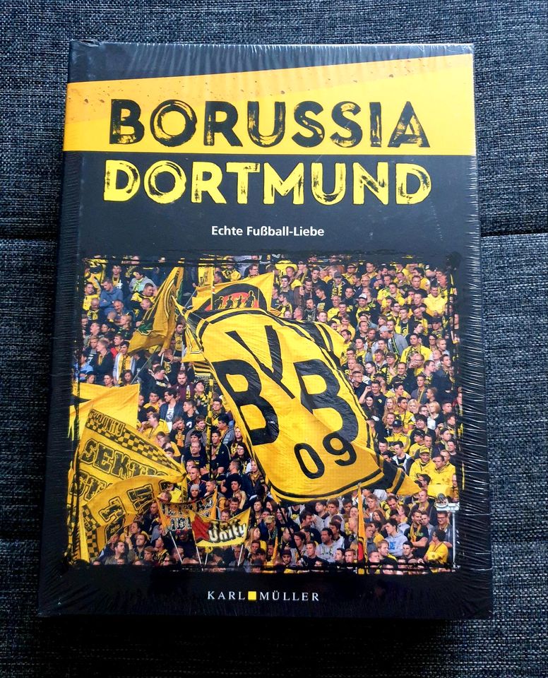 Borussia Dortmund Buch in Herne