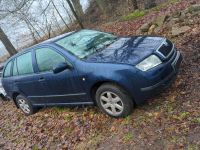 Skoda Fabia TDI Schlachtfest Niedersachsen - Otter Vorschau