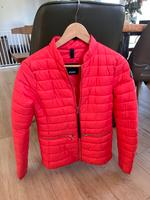 JOOP Damen-Steppjacke Gr. S Brandenburg - Potsdam Vorschau