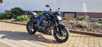 Kawasaki Z750 L - Top Zustand - Unikat Rheinland-Pfalz - Sponheim Vorschau