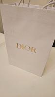 Dior Original Tüte Bag  39x25x13cm Berlin - Mitte Vorschau
