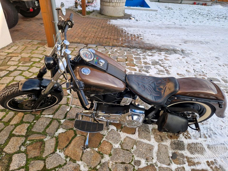 Harlay Davidson Softail FXST C in Tangermünde