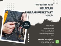 Helfer/in in Fahrradwerkstatt gesucht (m/w/d) Berlin - Wittenau Vorschau