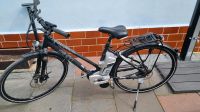 KTM Elektro Bike Severo 11 Disc Sachsen-Anhalt - Am Großen Bruch Vorschau