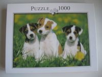 1000 Teile Puzzle Hund Hunde Bonn - Graurheindorf Vorschau