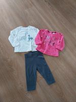 Set 62 Hose Shirt Oberteil langarm dino pink grau blau Brandenburg - Brieselang Vorschau