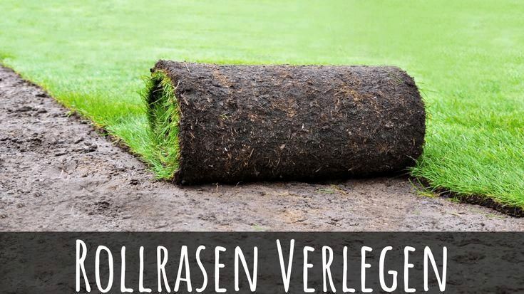 Rollrasen verlegen in Celle