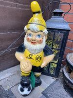 BVB Meisterzwerg 95/96 Nordrhein-Westfalen - Porta Westfalica Vorschau