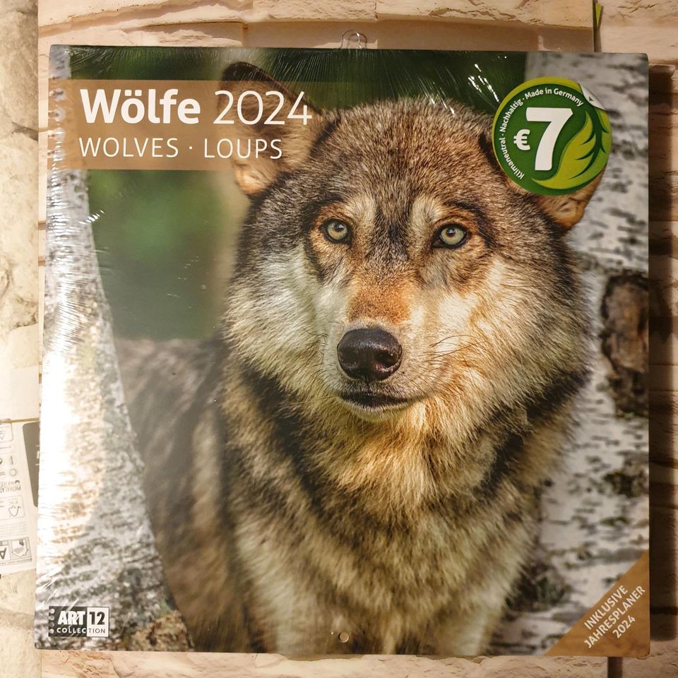 * Kalender 2024 * Wölfe * in Oelsnitz / Vogtland