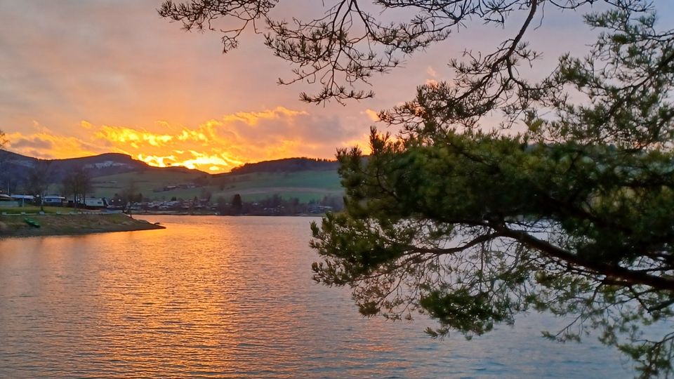 Ferienwohnung Diemelsee Sauerland Heringhausen Sauna in Diemelsee