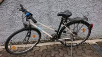 Fahrrad - Topline Funlife pro Baden-Württemberg - Oberkirch Vorschau