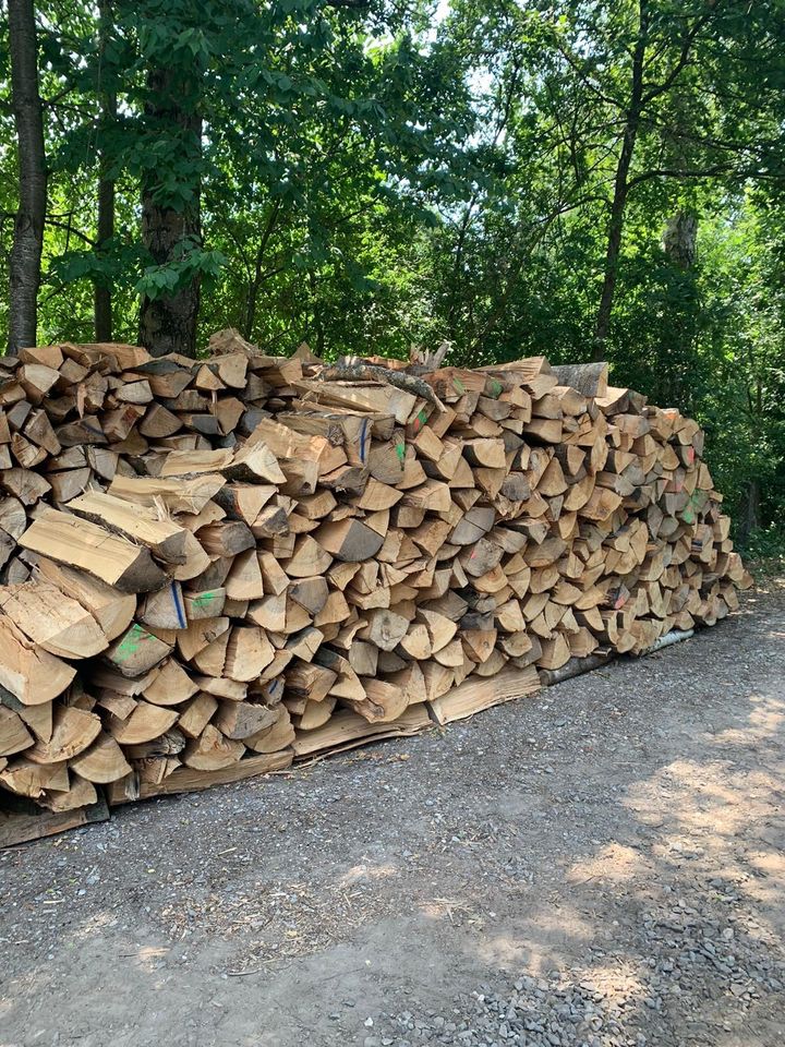 Scheitholz grob vorgespalten 1 Meter in Waldstetten