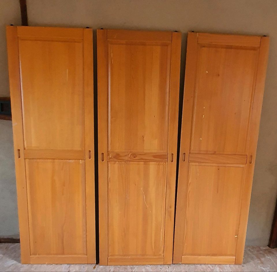 3 schrank türen holz 152x50 in Landau-Godramstein