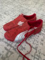 Fußballschuhe Puma Größe 39 München - Bogenhausen Vorschau