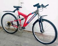 Schöne fahrrad 28zoll Bayern - Schwandorf Vorschau