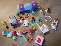 20-teiliges Babyspielzeug Set Paket Mädchen Beißring Buch Haba Hessen - Ranstadt Vorschau