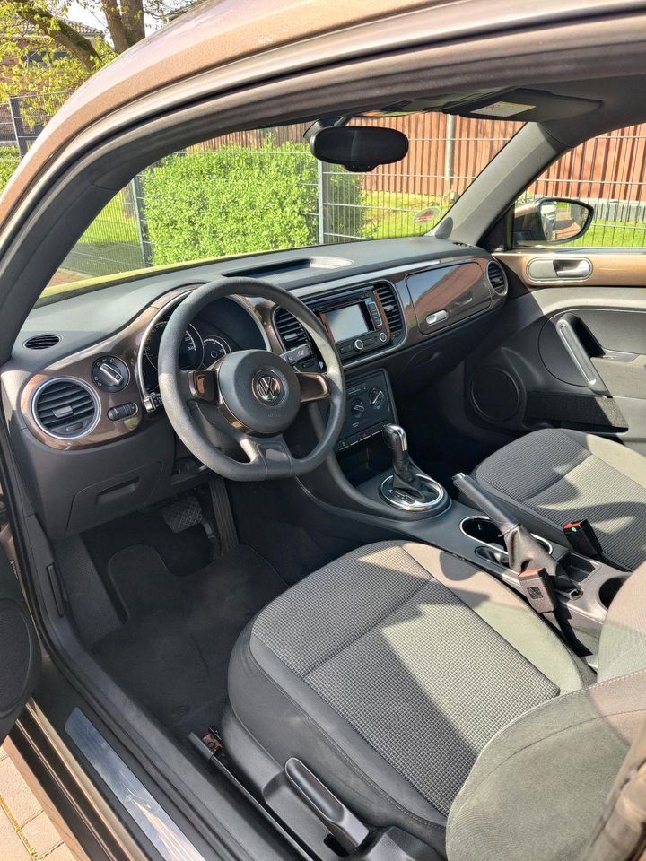 VW Beetle 1.6 TDI DSG Automatik in Rheinberg