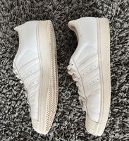 Adidas Superstar Größe 46 Edenkoben - Altdorf Vorschau