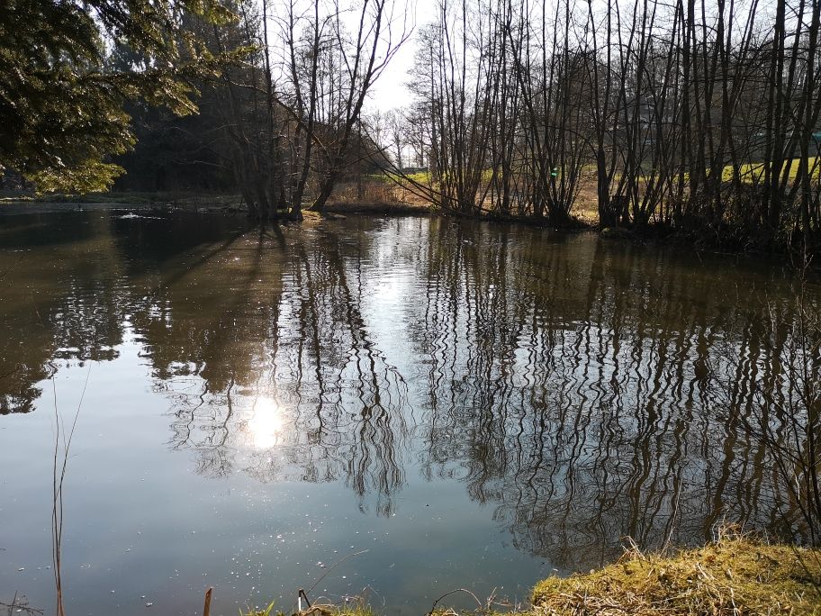 Fischzuchtanlage mit Genehmigung !!! in Lindlar