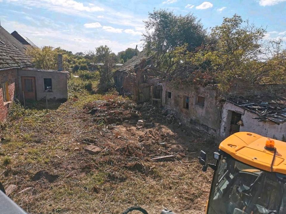 Erdarbeiten Baggerarbeiten Transporte Baufeldberäumung Abriss in Daberkow