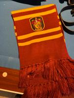Harry Potter Schal Gryffindor und Zauberumhang Wandsbek - Hamburg Poppenbüttel Vorschau