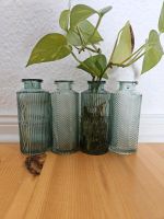 4x Grüne Flaschen Ableger Glas Glasflasche Vase Blumentopf türkis Berlin - Spandau Vorschau