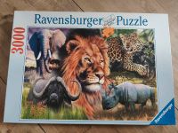 Puzzle - The big five Hessen - Hainburg Vorschau