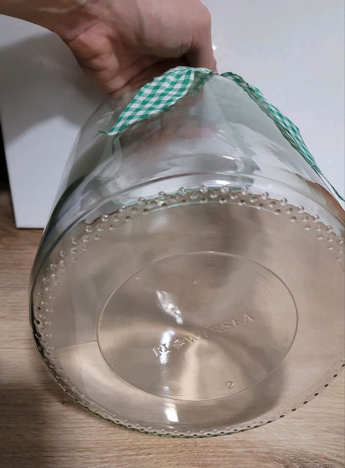 Vase Glas Deko groß Höhe 21,5cm Gurkenglas Flowersea in Eitorf