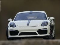 1:18 Porsche Cayman GT4 weiß Edition mit inkl. OVP Thüringen - Weimar Vorschau