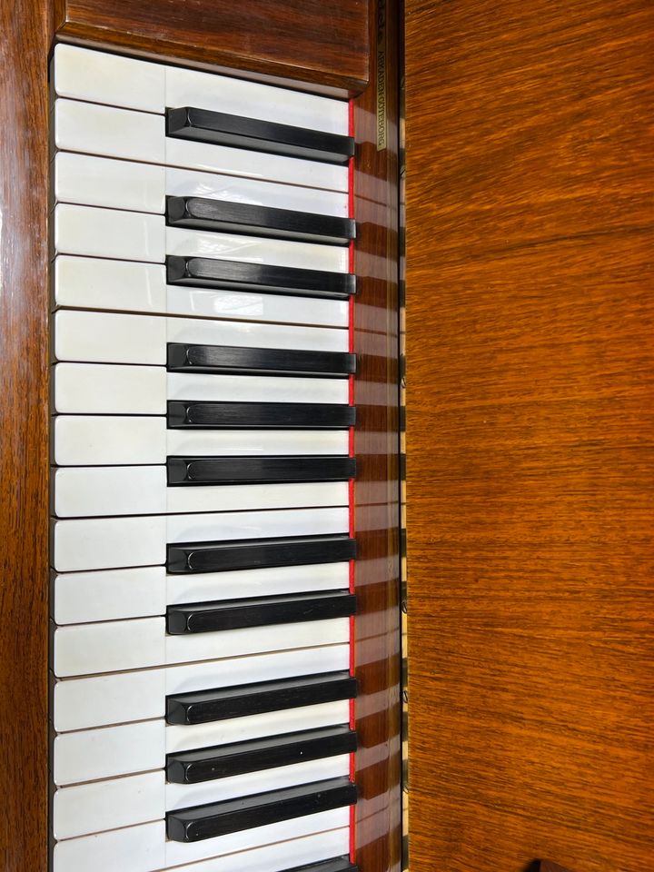 C. Bechstein Klavier Model 8,128, Mahagoni/Palisander. in Ahrensburg