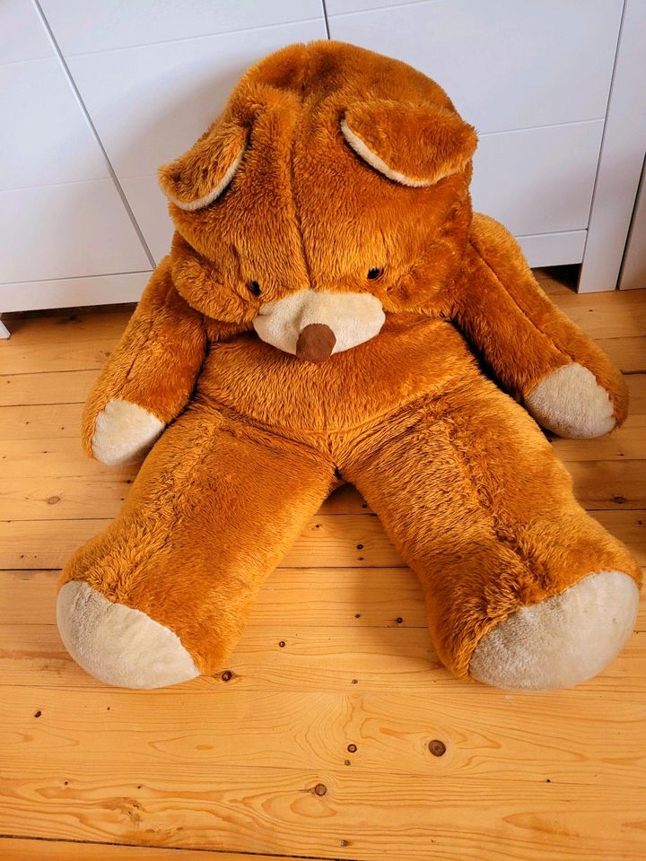 Riesen Teddybär in Hohenahr