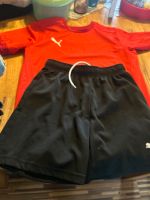 Set Shorts-Hose Saarland - Quierschied Vorschau