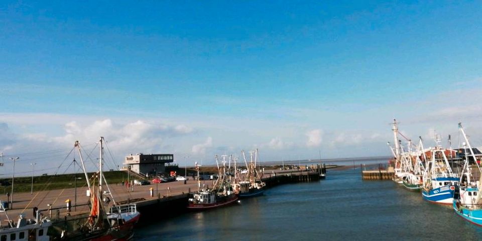 Sommerferien Nordsee Ferienwohnung in Dornum