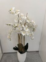 XXL Orchideen ca.150 cm in großer Bodenvase Nordrhein-Westfalen - Krefeld Vorschau