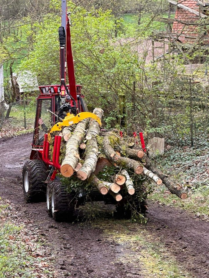 Kranman Bison 8.000 Forwarder Rückezug Forstkran - 2,0to Last SBF in Brockscheid