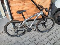 Steppenwolf Taiga Ltd Mountainbike silber 30 Gänge Kr. Passau - Passau Vorschau