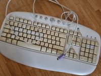 Logitech Tastatur Rheinland-Pfalz - Marienhausen Vorschau