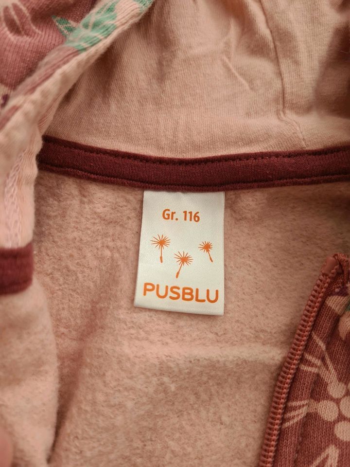 PUSBLU SWEATJACKE 116 in Trusetal