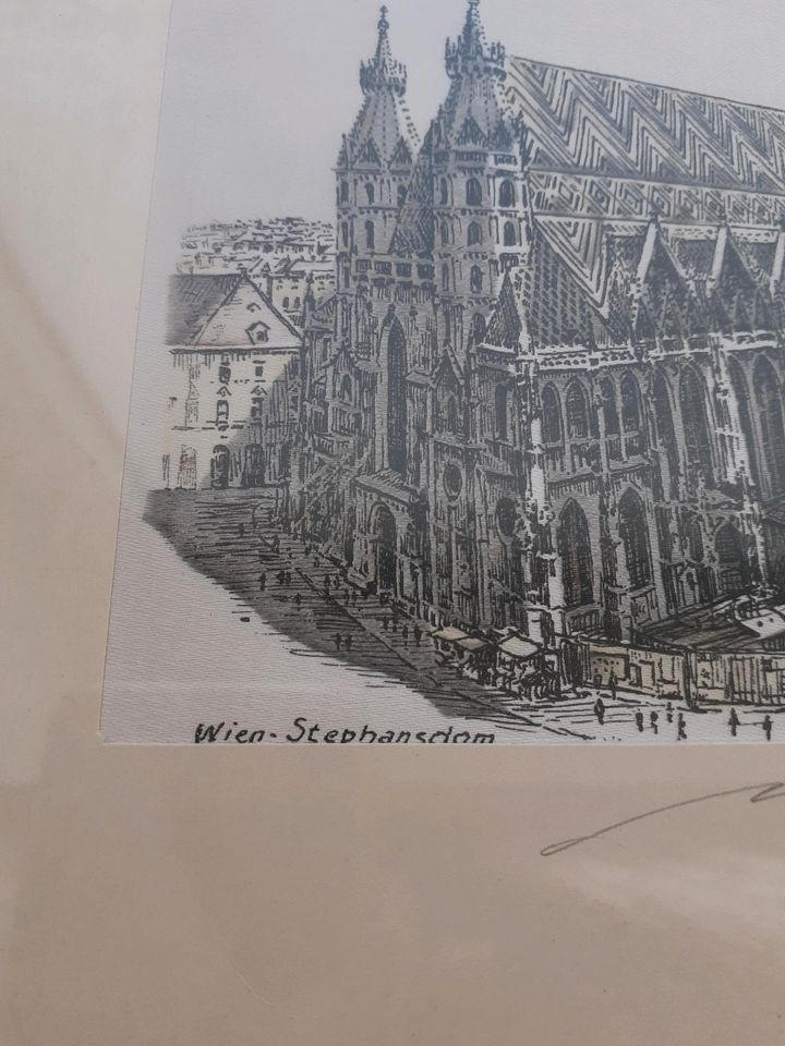 Bild vom Stephansdom in Wien . in Stuttgart