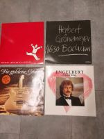 Schallplatten LP's von verschiedenen Künstlern Thüringen - Bad Köstritz   Vorschau