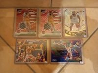 5x LeBron James im Lot oder einzeln je 12€, Parallels, Inserts Kr. Passau - Passau Vorschau