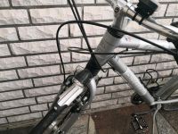 Cannondale Street 28 Zoll. Nordrhein-Westfalen - Herford Vorschau