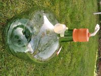 Weinballon ca. 25 Liter Bayern - Eichstätt Vorschau