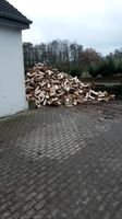 Fichte Brennholz Ofenfertig Nordrhein-Westfalen - Vlotho Vorschau