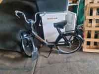 Velosolex von 1974 springt sofort an Mofa Moped Berlin - Marzahn Vorschau